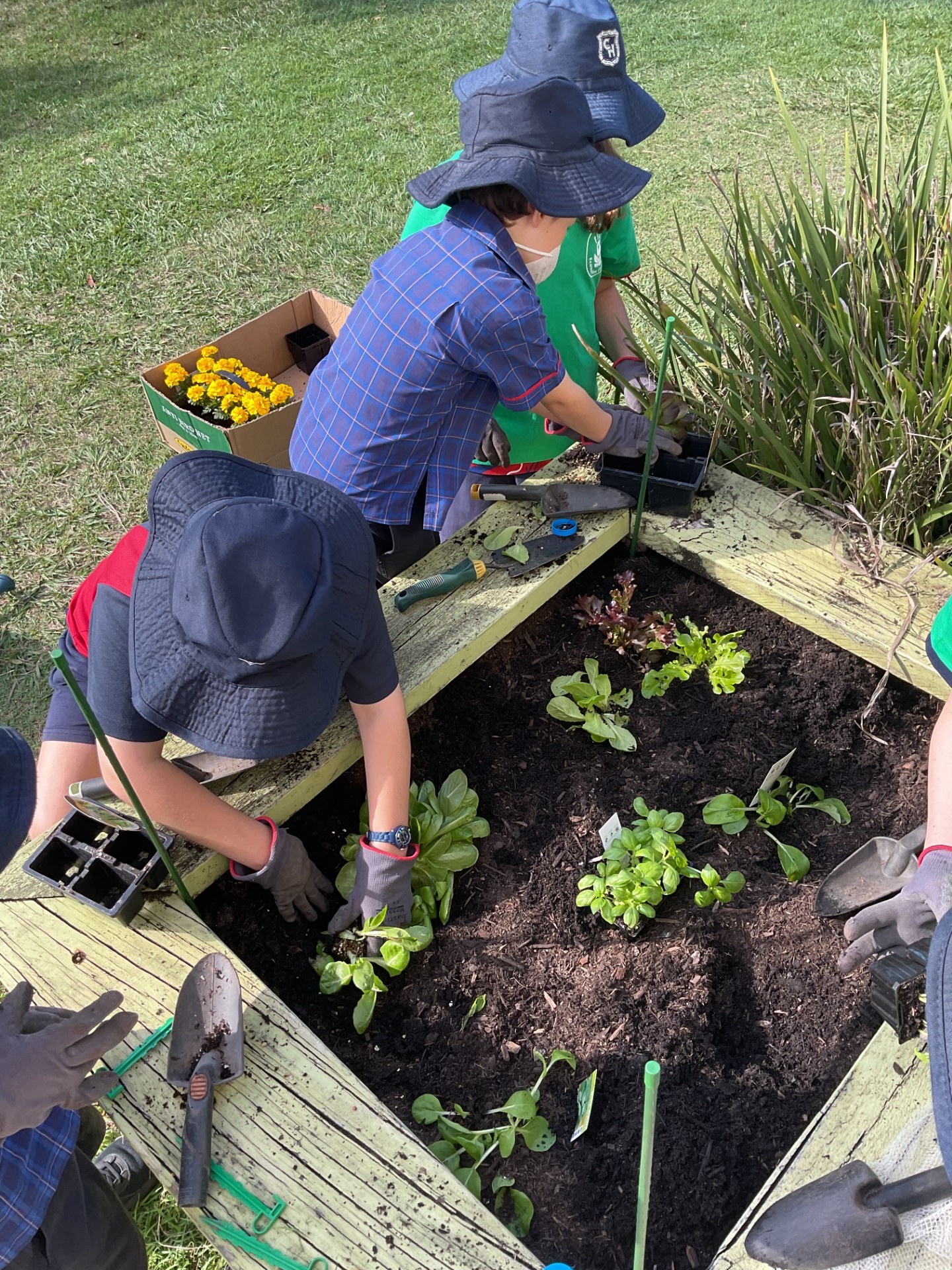 prep blue garden 4.jpg